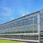 Polycarbonate Solid Sheets vs. Multiwall Sheets: Which One Is Engineered for Your Project?