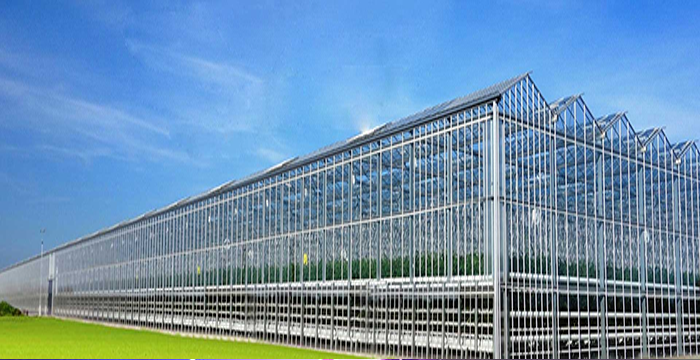 Polycarbonate Solid Sheets vs. Multiwall Sheets: Which One Is Engineered for Your Project?