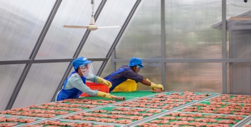 Polycarbonate Sheets for making Solar Dryers